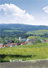 Bild Hochschwarzwald - Urlaub 2010 - Breitnau zum Download