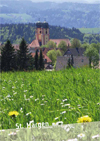 Bild Hochschwarzwald - Urlaub 2010 - St. M�rgen zum Download