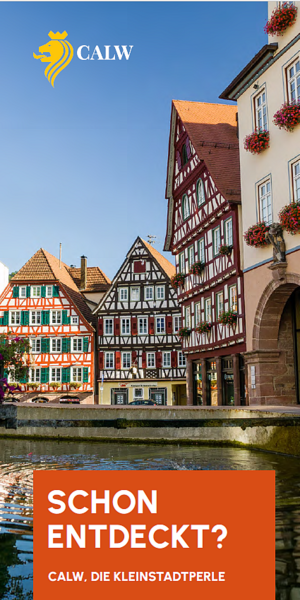 Imageflyer Calw