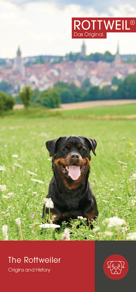 Der Rottweiler Hund Englisch